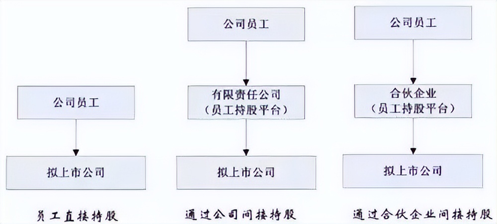 山东股权激励：胜蓝股权丨持股平台：个人、公司、有限合伙有那些