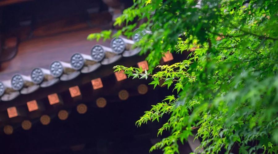 股权咨询公司：胜蓝股权丨16条极简的人生建议